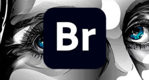 Adobe Bridge Full Español Mega