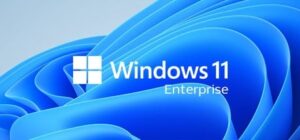Windows 11 Enterprise ISO Full Español Mega