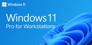 windows 11 pro for workstations ISO Español