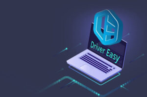 Driver Easy Professional Portable Español Mega